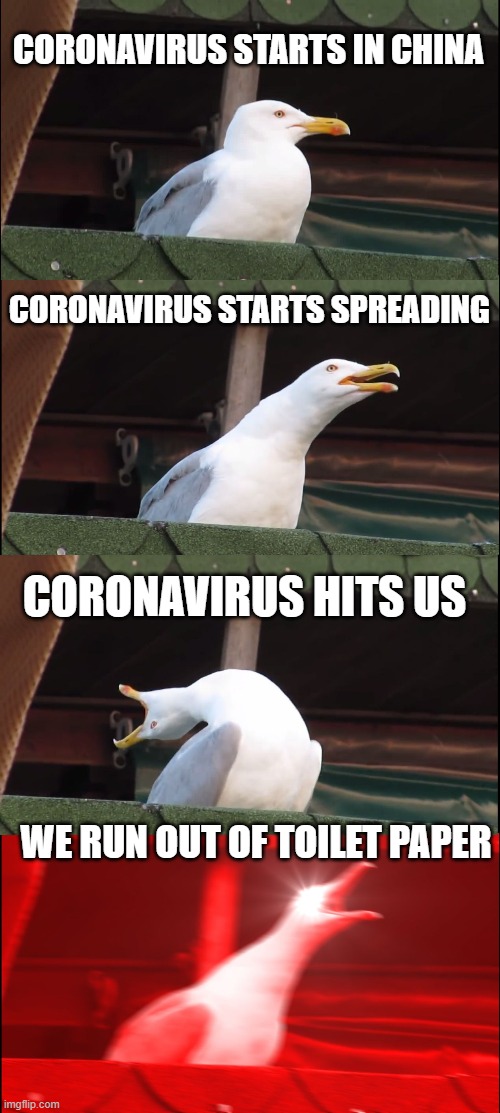 Inhaling Seagull | CORONAVIRUS STARTS IN CHINA; CORONAVIRUS STARTS SPREADING; CORONAVIRUS HITS US; WE RUN OUT OF TOILET PAPER | image tagged in memes,inhaling seagull | made w/ Imgflip meme maker