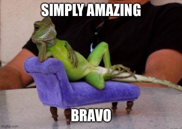 Sassy Iguana Meme | SIMPLY AMAZING BRAVO | image tagged in memes,sassy iguana | made w/ Imgflip meme maker