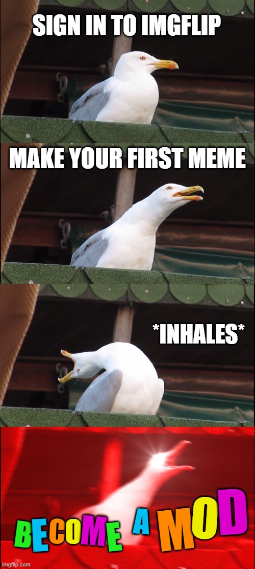 Ultimate power! | SIGN IN TO IMGFLIP; MAKE YOUR FIRST MEME; *INHALES*; D; O; M; A; C; M; E; O; B; E | image tagged in memes,inhaling seagull,mod,imgflip | made w/ Imgflip meme maker