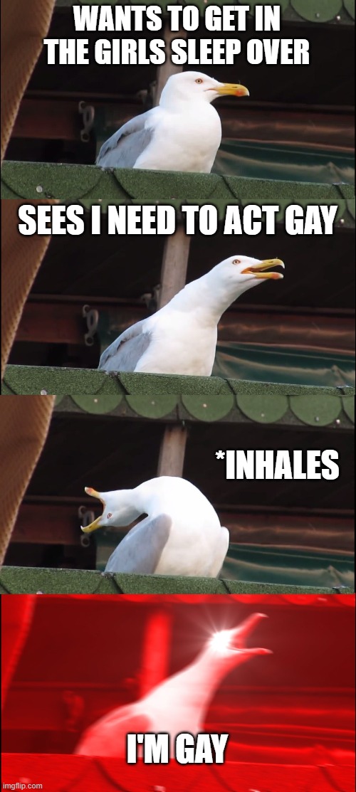 Inhaling Seagull Meme | WANTS TO GET IN THE GIRLS SLEEP OVER; SEES I NEED TO ACT GAY; *INHALES; I'M GAY | image tagged in memes,inhaling seagull | made w/ Imgflip meme maker