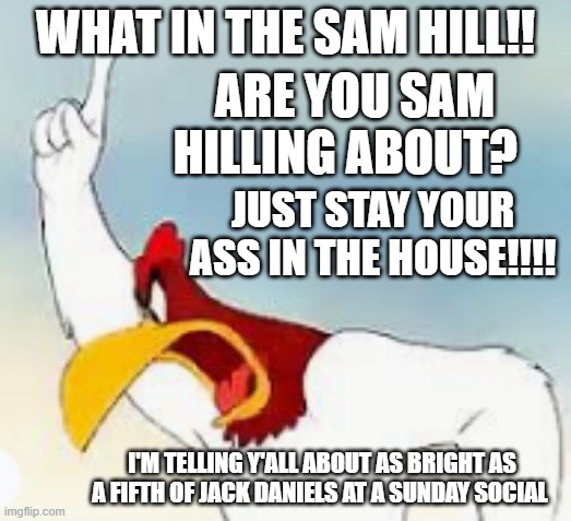 What in the Sam Hill | WHAT IN THE SAM HILL!! ARE YOU SAM HILLING ABOUT? JUST STAY YOUR ASS IN THE HOUSE!!!! I'M TELLING Y'ALL ABOUT AS BRIGHT AS A FIFTH OF JACK DANIELS AT A SUNDAY SOCIAL | image tagged in warning,funny memes,funny,fun | made w/ Imgflip meme maker