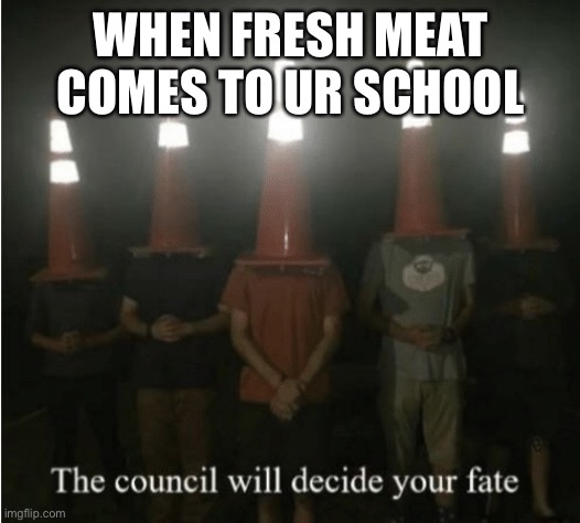The council will decide your fate | WHEN FRESH MEAT COMES TO UR SCHOOL | image tagged in the council will decide your fate | made w/ Imgflip meme maker