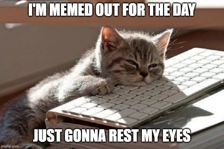 Too Tired | I'M MEMED OUT FOR THE DAY; JUST GONNA REST MY EYES | image tagged in too tired | made w/ Imgflip meme maker