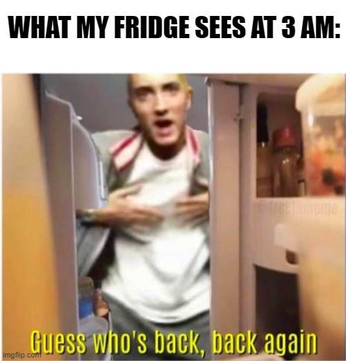 WHAT MY FRIDGE SEES AT 3 AM: | made w/ Imgflip meme maker