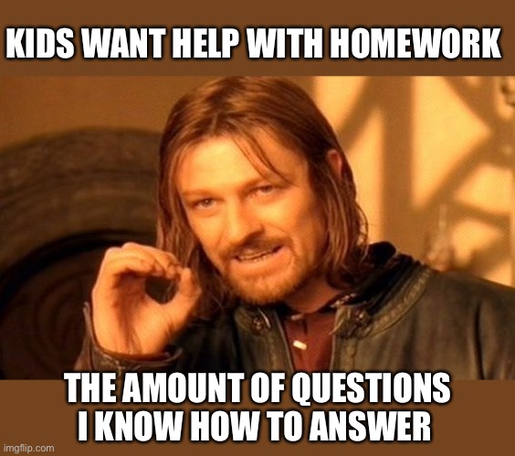 One Does Not Simply Meme | KIDS WANT HELP WITH HOMEWORK; THE AMOUNT OF QUESTIONS I KNOW HOW TO ANSWER | image tagged in memes,one does not simply | made w/ Imgflip meme maker