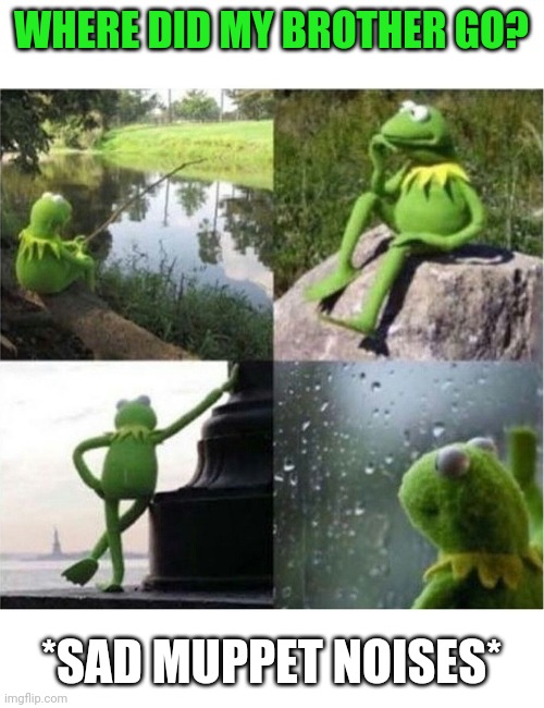 From a Frog meme | WHERE DID MY BROTHER GO? *SAD MUPPET NOISES* | image tagged in blank kermit waiting | made w/ Imgflip meme maker