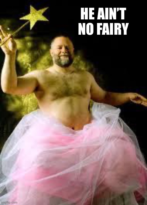 fairy man | HE AIN’T NO FAIRY | image tagged in fairy man | made w/ Imgflip meme maker