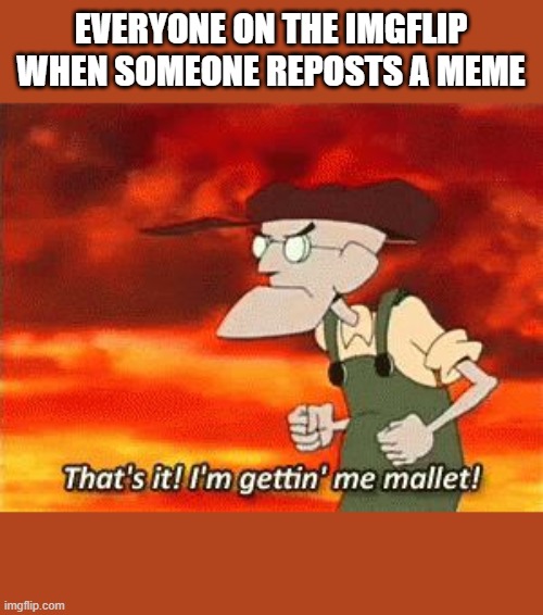 Mallet | EVERYONE ON THE IMGFLIP
WHEN SOMEONE REPOSTS A MEME | image tagged in mallet | made w/ Imgflip meme maker