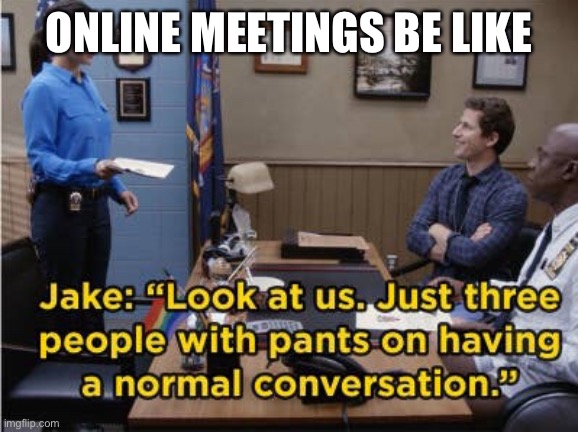 People wearing pants | ONLINE MEETINGS BE LIKE | image tagged in people wearing pants | made w/ Imgflip meme maker