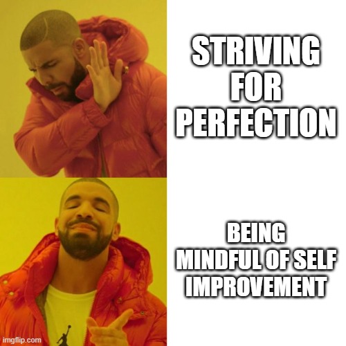 Drake Blank | STRIVING FOR PERFECTION; BEING MINDFUL OF SELF IMPROVEMENT | image tagged in drake blank | made w/ Imgflip meme maker