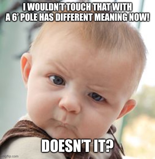 Skeptical Baby Meme | I WOULDN’T TOUCH THAT WITH A 6’ POLE HAS DIFFERENT MEANING NOW! DOESN’T IT? | image tagged in memes,skeptical baby | made w/ Imgflip meme maker