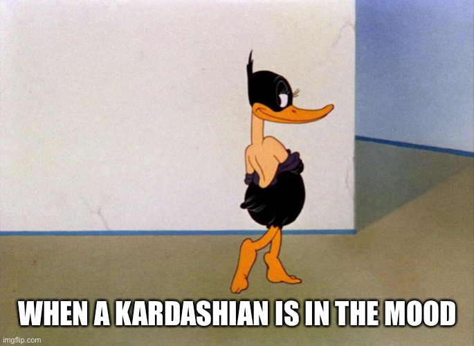 WHEN A KARDASHIAN IS IN THE MOOD | image tagged in kardashian | made w/ Imgflip meme maker