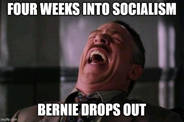 Loser! | FOUR WEEKS INTO SOCIALISM; BERNIE DROPS OUT | image tagged in spider man boss | made w/ Imgflip meme maker