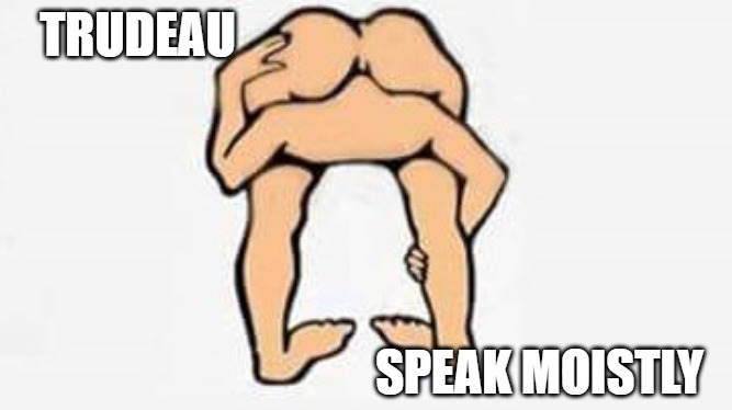 Liberal POV | TRUDEAU; SPEAK MOISTLY | image tagged in liberal pov | made w/ Imgflip meme maker