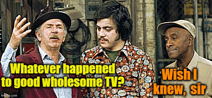 Whatever happened to good wholesome TV? Wish I knew,  sir | made w/ Imgflip meme maker