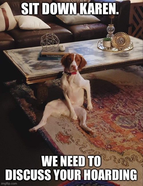 SIT DOWN KAREN. WE NEED TO DISCUSS YOUR HOARDING | image tagged in hoarding,covid,karen,brittany | made w/ Imgflip meme maker