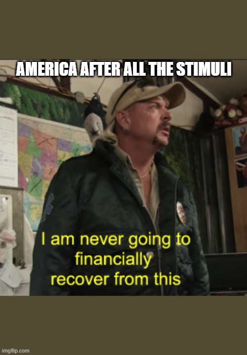 Joe Exotic Financially Recover | AMERICA AFTER ALL THE STIMULI | image tagged in joe exotic financially recover | made w/ Imgflip meme maker