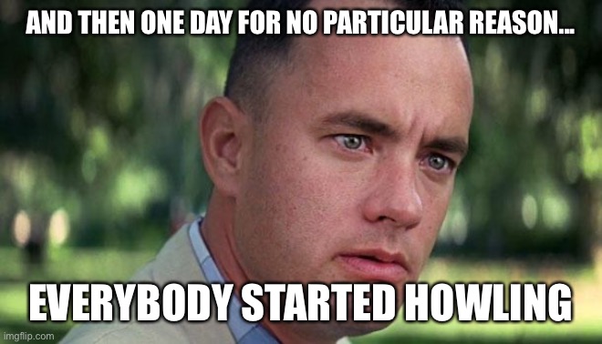 Forest Gump | AND THEN ONE DAY FOR NO PARTICULAR REASON... EVERYBODY STARTED HOWLING | image tagged in forest gump | made w/ Imgflip meme maker