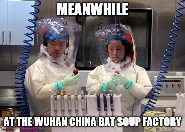 Wuhan China Virus Lab | MEANWHILE; AT THE WUHAN CHINA BAT SOUP FACTORY | image tagged in wuhan china virus lab | made w/ Imgflip meme maker