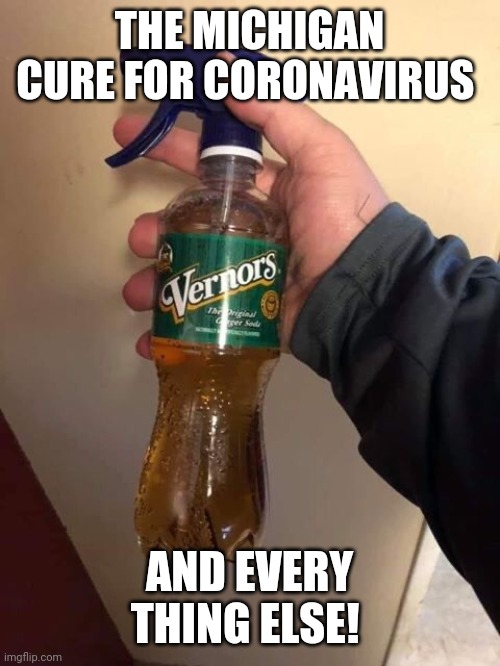 THE MICHIGAN CURE FOR CORONAVIRUS; AND EVERY THING ELSE! | made w/ Imgflip meme maker