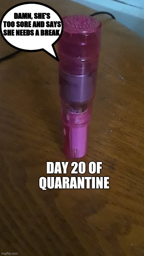Day 20 | DAMN, SHE'S TOO SORE AND SAYS SHE NEEDS A BREAK; DAY 20 OF QUARANTINE | image tagged in vibrator | made w/ Imgflip meme maker