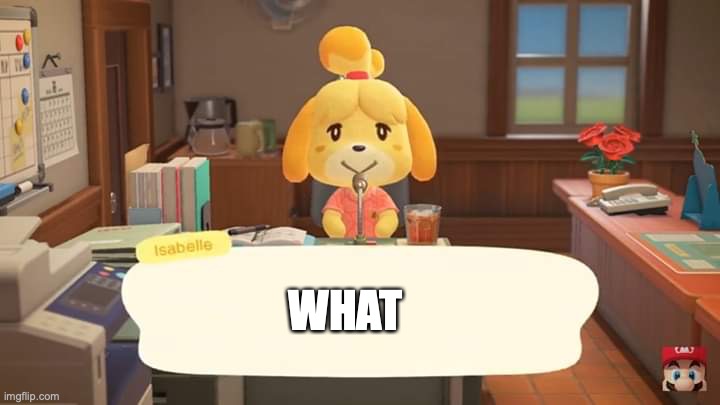 Isabelle Animal Crossing Announcement | WHAT | image tagged in isabelle animal crossing announcement | made w/ Imgflip meme maker