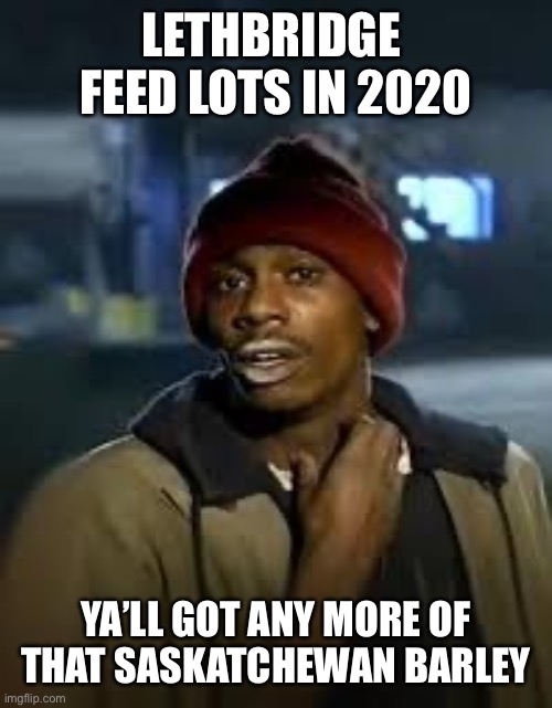 You Got Any More | LETHBRIDGE  FEED LOTS IN 2020; YA’LL GOT ANY MORE OF THAT SASKATCHEWAN BARLEY | image tagged in you got any more | made w/ Imgflip meme maker