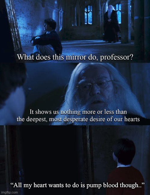 Harry potter mirror | “All my heart wants to do is pump blood though..” | image tagged in harry potter mirror | made w/ Imgflip meme maker