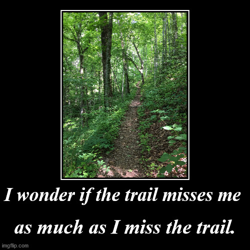 The trail | image tagged in hiking | made w/ Imgflip demotivational maker