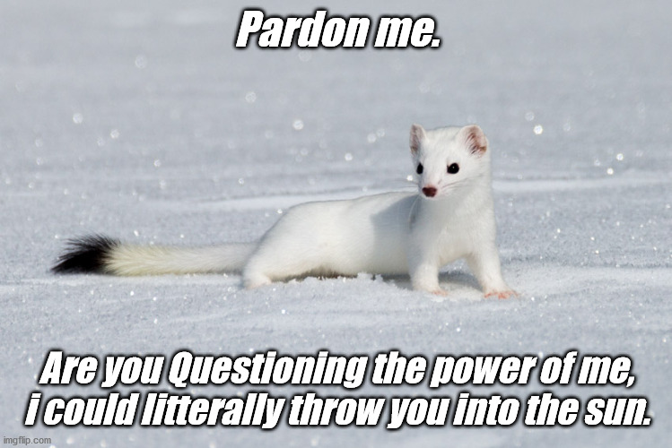 weaseltalon drowned | Pardon me. Are you Questioning the power of me, i could litterally throw you into the sun. | image tagged in weaseltalon drowned | made w/ Imgflip meme maker