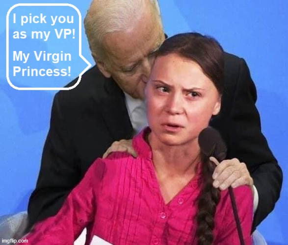 Biden's VP | image tagged in vp,vice president,joe biden,greta thunberg | made w/ Imgflip meme maker
