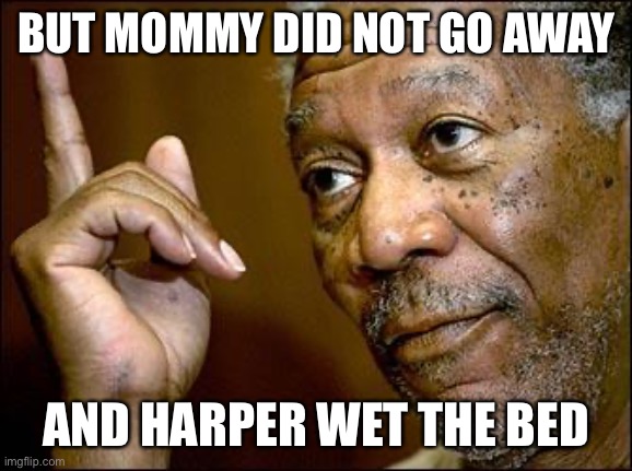 This Morgan Freeman | BUT MOMMY DID NOT GO AWAY; AND HARPER WET THE BED | image tagged in this morgan freeman | made w/ Imgflip meme maker