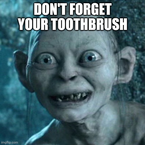 Gollum | DON'T FORGET YOUR TOOTHBRUSH | image tagged in memes,gollum | made w/ Imgflip meme maker