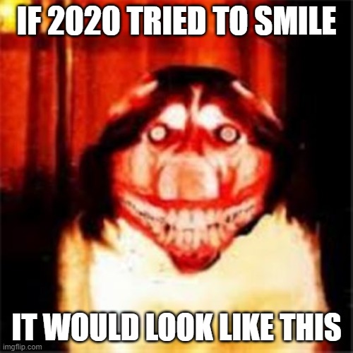 smile dog | IF 2020 TRIED TO SMILE; IT WOULD LOOK LIKE THIS | image tagged in smile dog | made w/ Imgflip meme maker