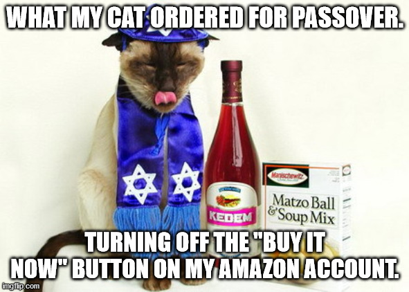 Passover Cat | WHAT MY CAT ORDERED FOR PASSOVER. TURNING OFF THE "BUY IT NOW" BUTTON ON MY AMAZON ACCOUNT. | image tagged in passover cat | made w/ Imgflip meme maker