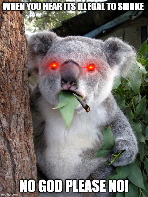 Surprised Koala | WHEN YOU HEAR ITS ILLEGAL TO SMOKE; NO GOD PLEASE NO! | image tagged in memes,surprised koala | made w/ Imgflip meme maker