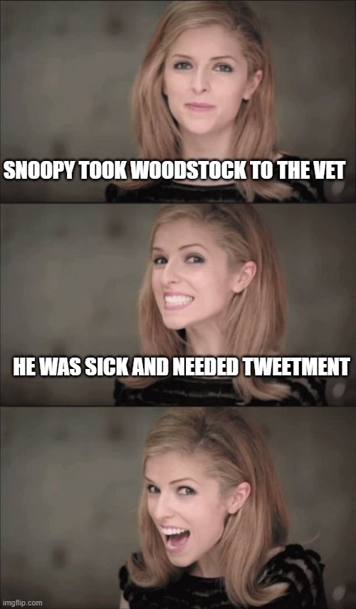 Bad Pun Anna Kendrick | SNOOPY TOOK WOODSTOCK TO THE VET; HE WAS SICK AND NEEDED TWEETMENT | image tagged in memes,bad pun anna kendrick | made w/ Imgflip meme maker