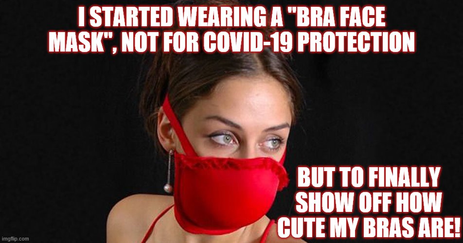 I have no love life, but LOTS of cute bras! | I STARTED WEARING A "BRA FACE MASK", NOT FOR COVID-19 PROTECTION; BUT TO FINALLY SHOW OFF HOW CUTE MY BRAS ARE! | image tagged in covid-19,coronavirus meme,face mask,victoriasecret,bra | made w/ Imgflip meme maker