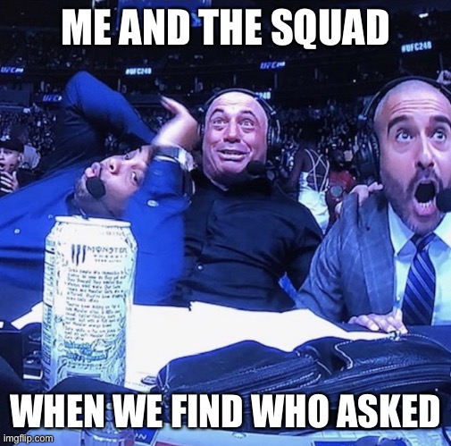 UFC flip out | ME AND THE SQUAD; WHEN WE FIND WHO ASKED | image tagged in ufc flip out | made w/ Imgflip meme maker
