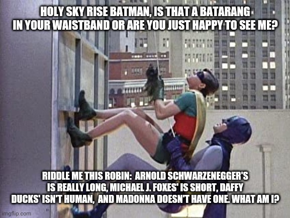 Riddle me this | HOLY SKY RISE BATMAN, IS THAT A BATARANG IN YOUR WAISTBAND OR ARE YOU JUST HAPPY TO SEE ME? RIDDLE ME THIS ROBIN:  ARNOLD SCHWARZENEGGER'S IS REALLY LONG, MICHAEL J. FOXES' IS SHORT, DAFFY DUCKS' ISN'T HUMAN,  AND MADONNA DOESN'T HAVE ONE. WHAT AM I? | image tagged in batman and robin | made w/ Imgflip meme maker