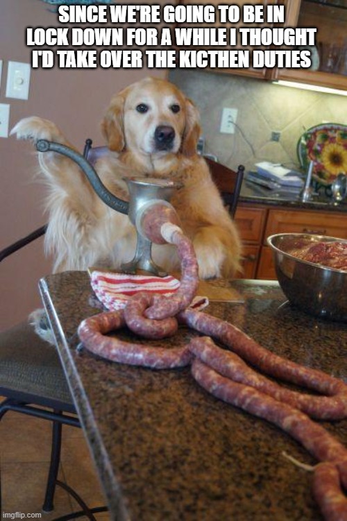 dog sausages | SINCE WE'RE GOING TO BE IN LOCK DOWN FOR A WHILE I THOUGHT I'D TAKE OVER THE KICTHEN DUTIES | image tagged in dog sausages | made w/ Imgflip meme maker