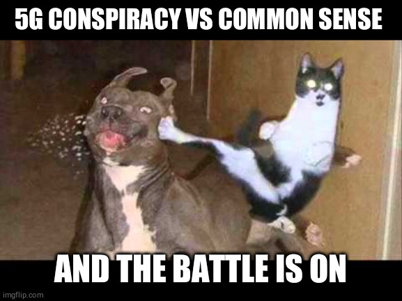 Kapowie | 5G CONSPIRACY VS COMMON SENSE; AND THE BATTLE IS ON | image tagged in kapowie | made w/ Imgflip meme maker