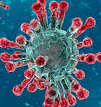 Virus Blank Meme Template