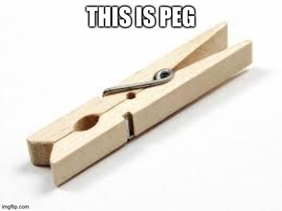 THIS IS PEG | image tagged in clothes peg le meme | made w/ Imgflip meme maker