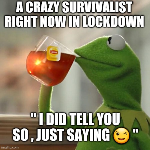 Crazy Frog Survivalist | A CRAZY SURVIVALIST RIGHT NOW IN LOCKDOWN; " I DID TELL YOU SO , JUST SAYING 😉 " | image tagged in memes,but that's none of my business,kermit the frog | made w/ Imgflip meme maker