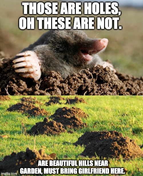 lovely, i have to tell. | THOSE ARE HOLES, OH THESE ARE NOT. ARE BEAUTIFUL HILLS NEAR GARDEN, MUST BRING GIRLFRIEND HERE. | image tagged in mole,happiness,summer,garden,hello | made w/ Imgflip meme maker