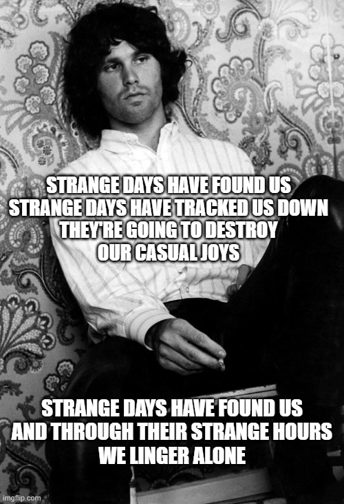 STRANGE DAYS HAVE FOUND US
STRANGE DAYS HAVE TRACKED US DOWN
THEY'RE GOING TO DESTROY
OUR CASUAL JOYS; STRANGE DAYS HAVE FOUND US
AND THROUGH THEIR STRANGE HOURS
WE LINGER ALONE | image tagged in strange,jim morrison | made w/ Imgflip meme maker