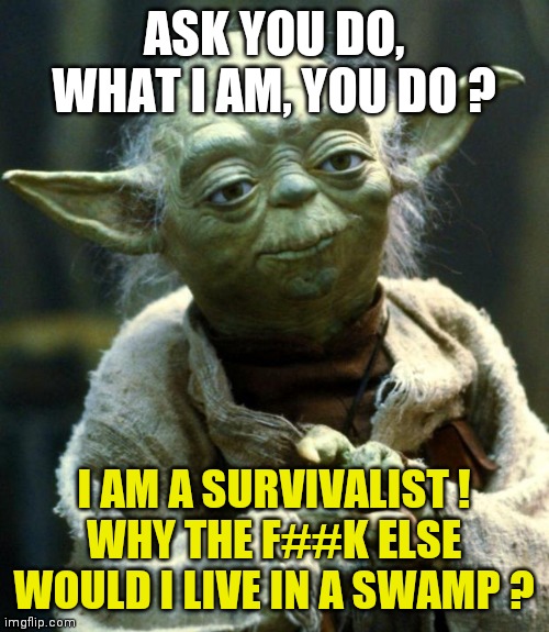 Yoda 'The survivalist' | ASK YOU DO, WHAT I AM, YOU DO ? I AM A SURVIVALIST !
WHY THE F##K ELSE WOULD I LIVE IN A SWAMP ? | image tagged in memes,star wars yoda | made w/ Imgflip meme maker