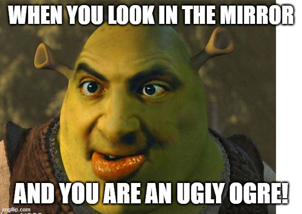 when you look in the mirror and you are an ugly ogre! | WHEN YOU LOOK IN THE MIRROR; AND YOU ARE AN UGLY OGRE! | image tagged in shrek | made w/ Imgflip meme maker