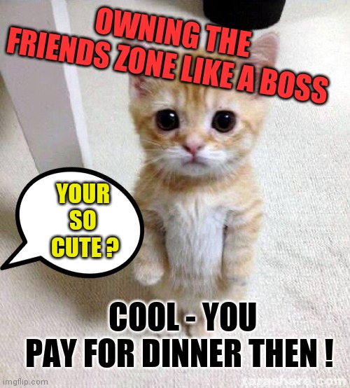 Owning the friend zone like a boss | OWNING THE FRIENDS ZONE LIKE A BOSS; YOUR 
SO 
CUTE ? COOL - YOU PAY FOR DINNER THEN ! | image tagged in memes,cute cat | made w/ Imgflip meme maker
